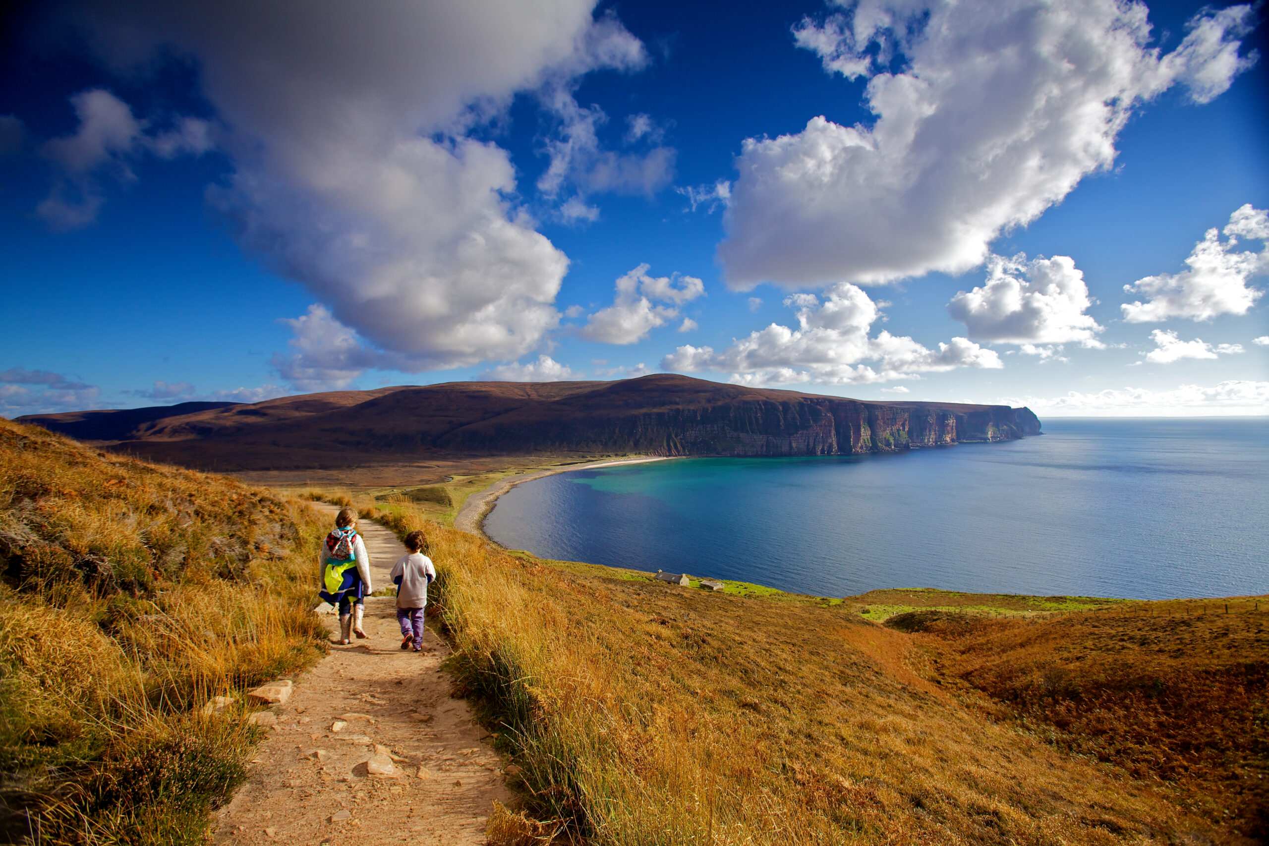 Orkney Foraging Fortnight reveals virtual event programme